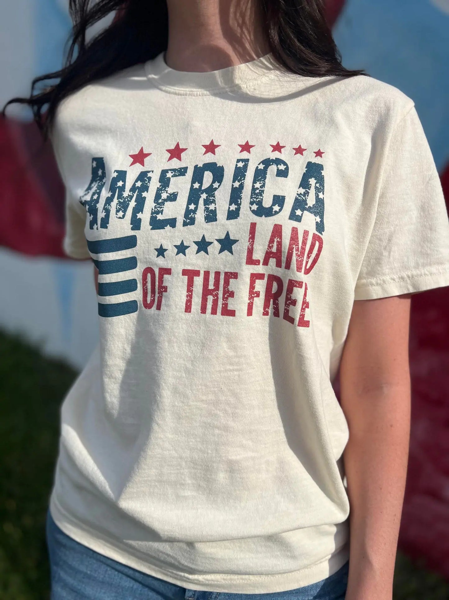 America Land of the Free Tee